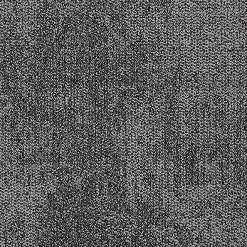 303007