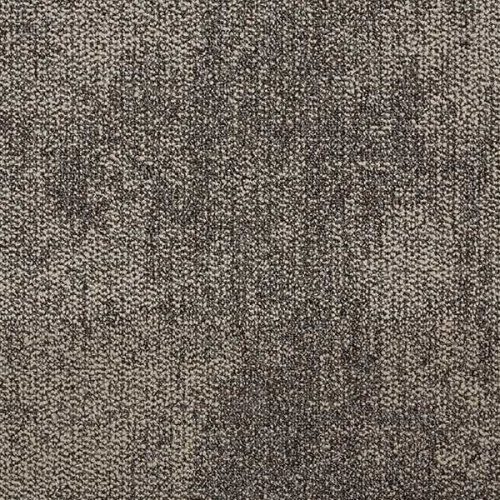 303009