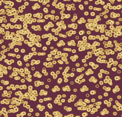 Ковролин Flotex Sottsass