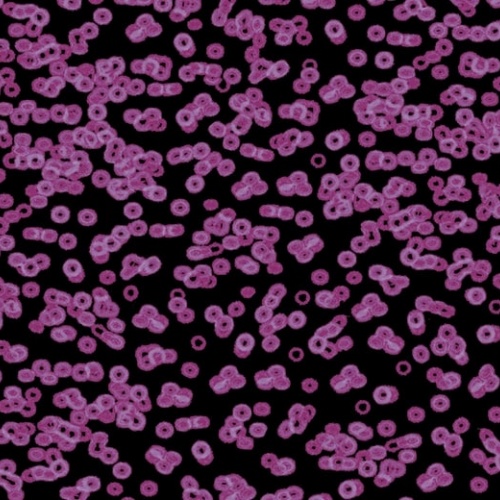 Ковролин Flotex Sottsass
