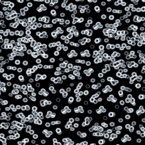 Ковролин Flotex Sottsass