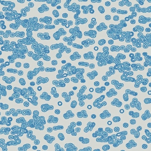 Ковролин Flotex Sottsass
