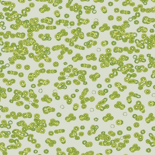 Ковролин Flotex Sottsass