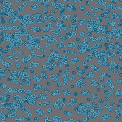 Ковролин Flotex Sottsass