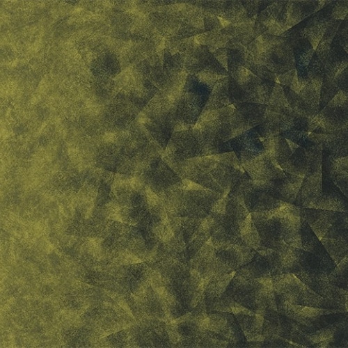 Ковролин Flotex by Starck