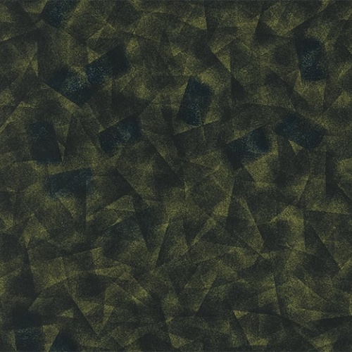 Ковролин Flotex by Starck
