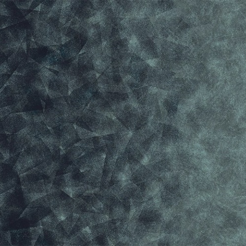 Ковролин Flotex by Starck