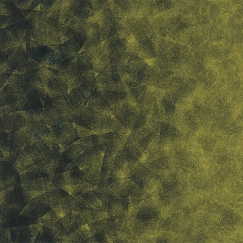 Ковролин Flotex by Starck