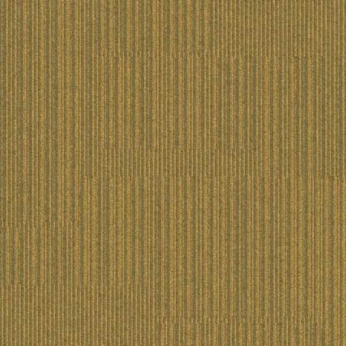 304202