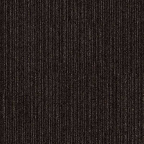 304206