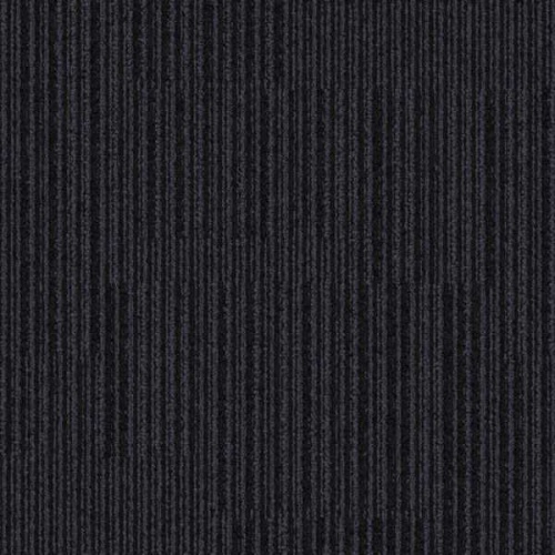 304262