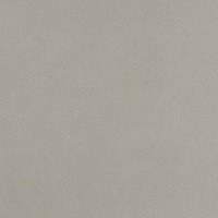 Керамический Гранит Окрашенный в Массе Arkshade Grey 60x60
