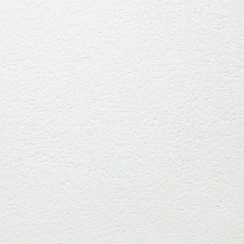 Потолочная плита Bioguard Plain Board 600x600x15
