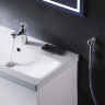 Смеситель для раковины с гигиеническим душем AM.PM F85C03000