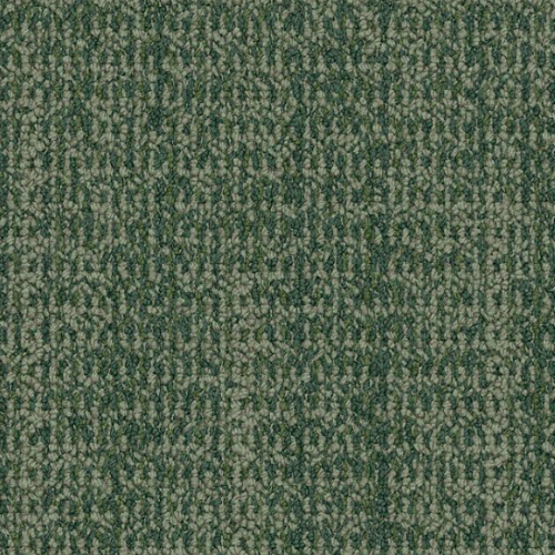 4306008