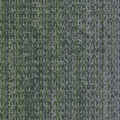 4307007