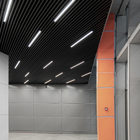 Кубообразная рейка Ш60/В60 RAL, цинк 0,3