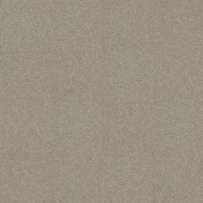 Ковролин Interface Employ Loop
