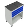 Тележка инструментальная WDS-3