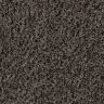 Грязезащита Forbo Coral Click shark grey
