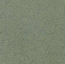 Технический Керамический Гранит Verde Alpi 30 Matt