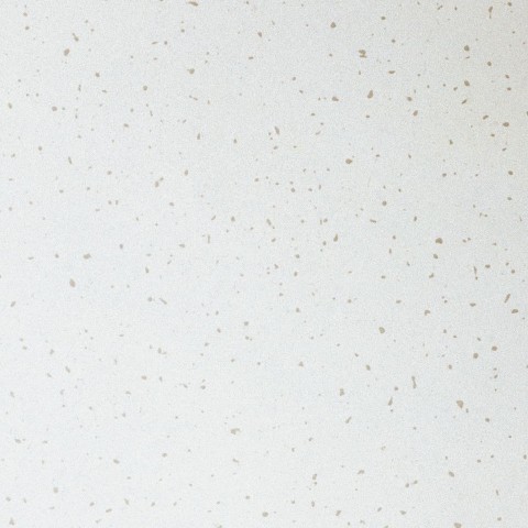 Потолочная плита Clean Room FL (ISO 5) Board 1200x600x15