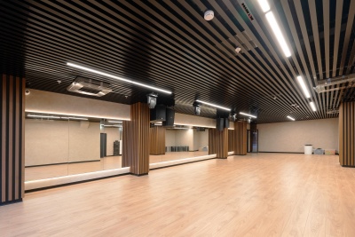 Кубообразная рейка Ш50/В30 черный, алюминий 0,3